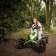 BERG Gokart L - Rally 2.0 DRT Grün BFR